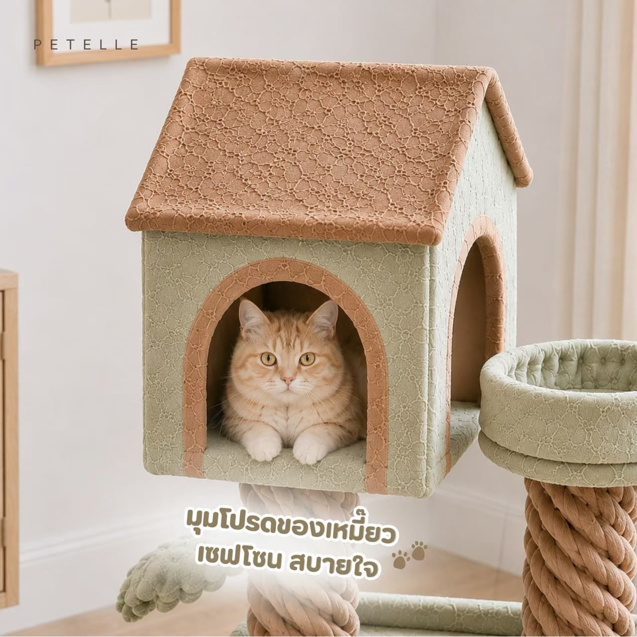 คอนโดแมวต้นไม้ PETELLE รุ่น LITTLE TREEHOUSE_6